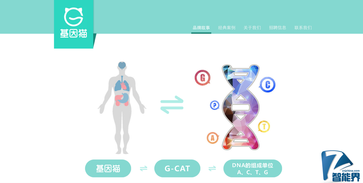 基因檢測可能要打價格戰(zhàn)了，全環(huán)節(jié)自研的 “基因貓” 能突圍而出嗎