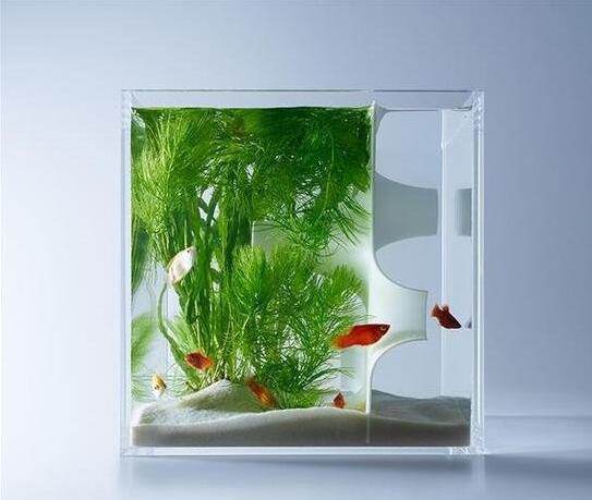日本藝術家用3D打印打造個性水族箱