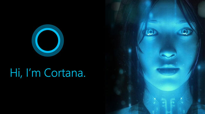 你一定不知道，Cortana 背后的槍手是這些人……