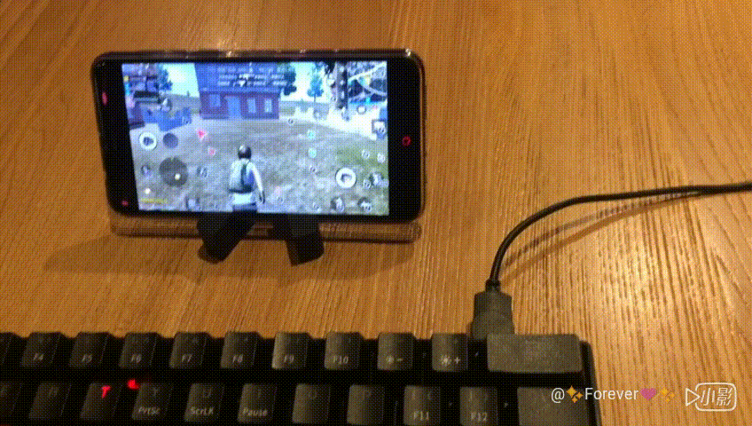 1528697901348772.gif