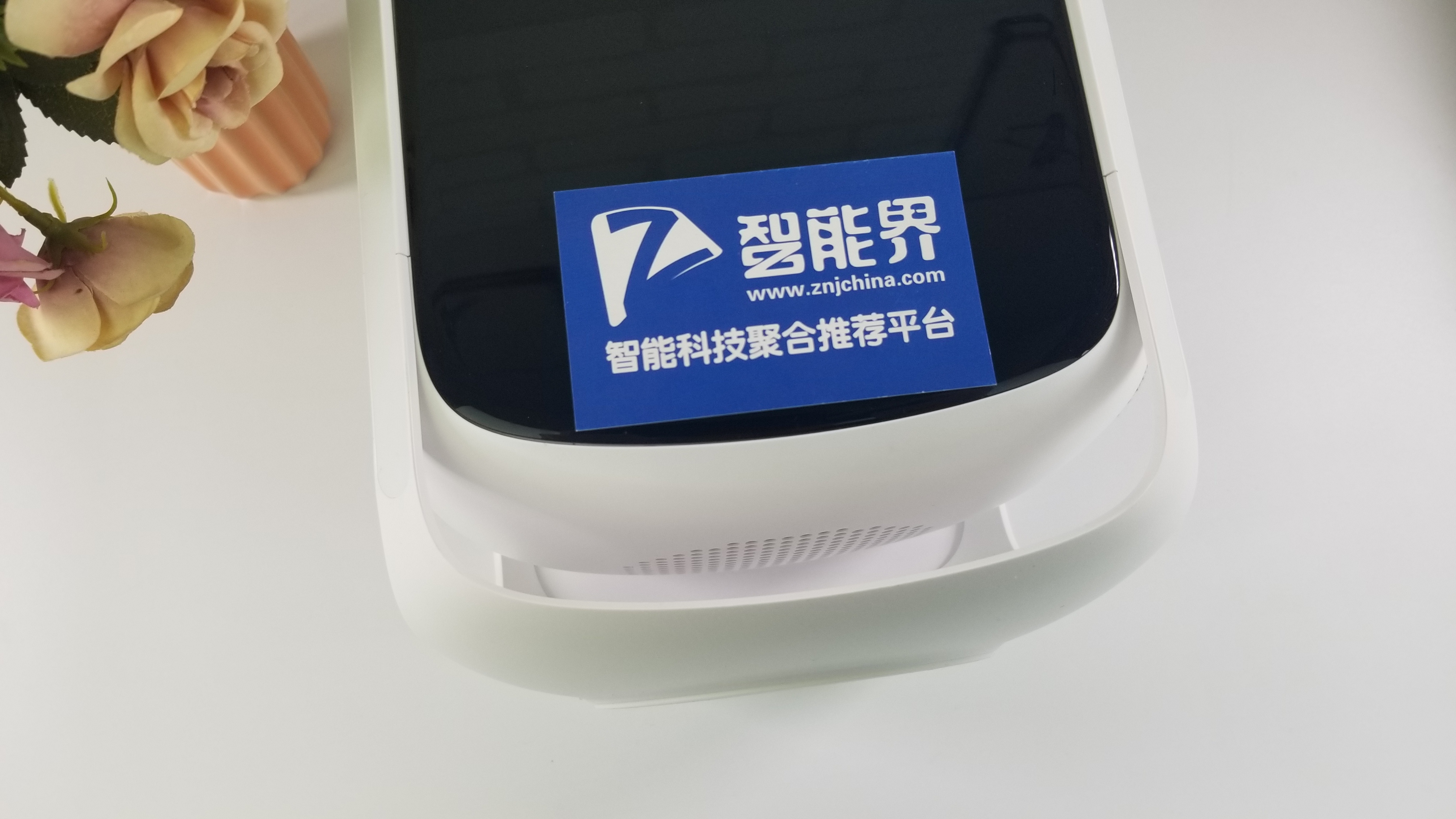 1541407479524416.jpg
