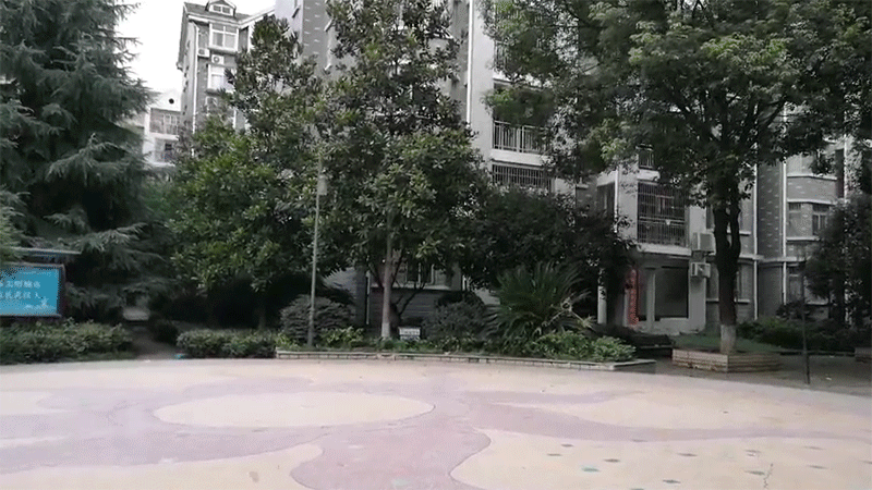 1563128296580732.gif
