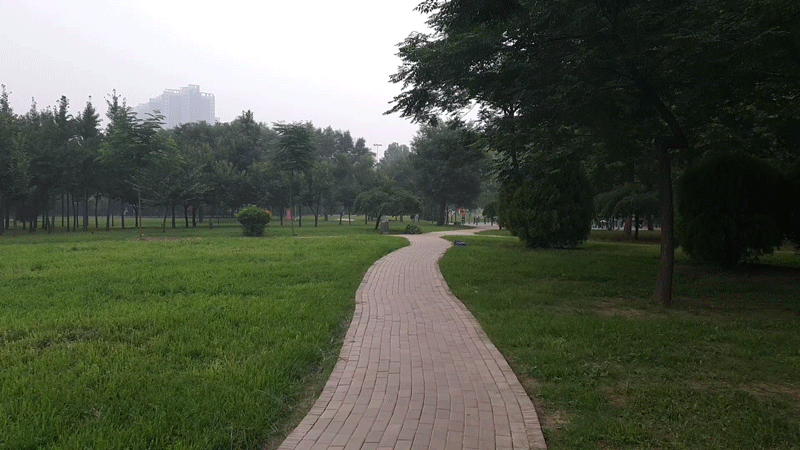 跑步魔抓.gif