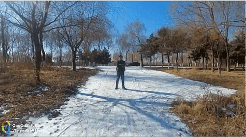 29.gif