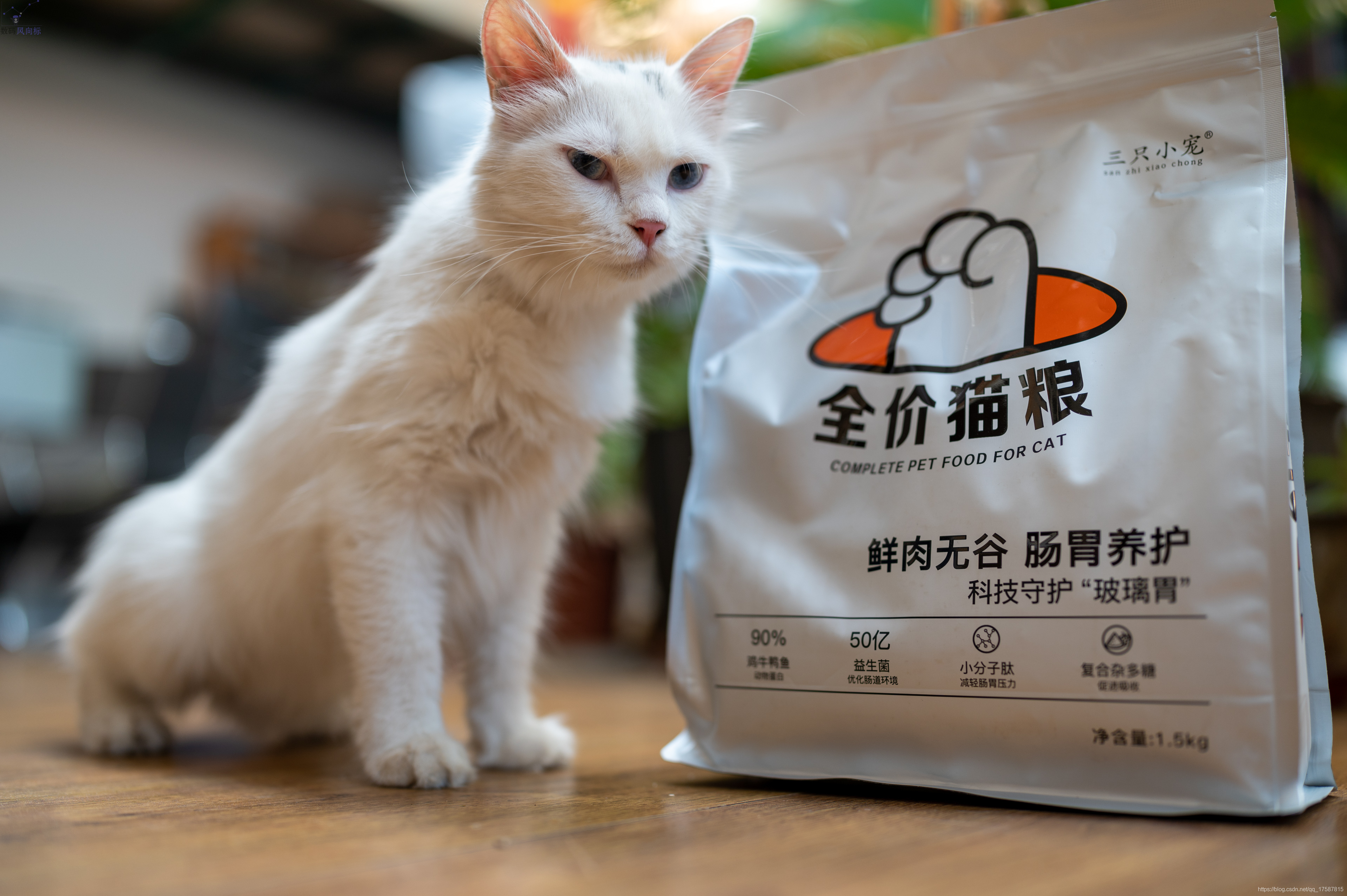  良心推薦|用料扎實(shí)的國產(chǎn)腸胃養(yǎng)護(hù)貓糧