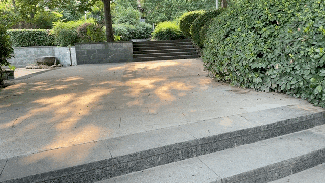 1628862288767378.gif