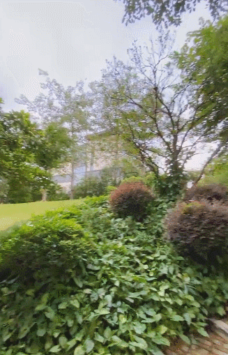 image (3).gif