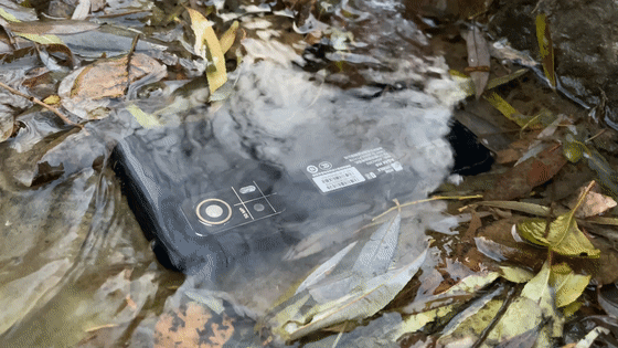 IMG_6806[00-00-01--00-00-02].gif